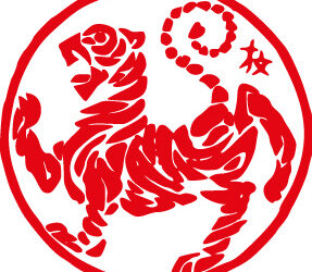 Brief explanation: What is shotokan karate?