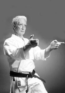 Sensei Hidetaka Nishiyama