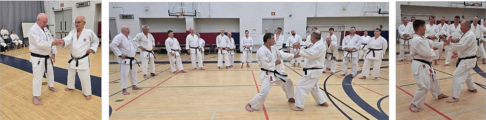 Willfried Achilles (8th Dan) with Michael Bock (8th Dan); Center and right: During the training sessions.
